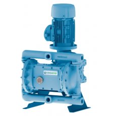 COGONITO 电动双隔膜泵1英寸系列