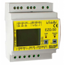 MULLER ZIEGLER 直流电能表EZG-S0系列
