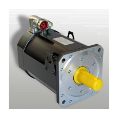 SANGALLI 伺服电机DSM5.6x - 六号系列