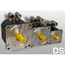 SANGALLI 伺服电机DSM5.x0 - 精简版系列