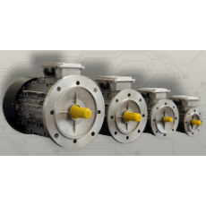 SANGALLI 同步电机ECOPM IE4系列