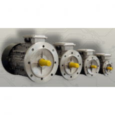 SANGALLI 同步电机ECOPM IE4系列