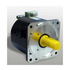 SANGALLI 伺服电机DSM5.7x - 七号系列