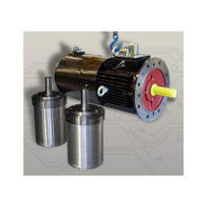 SANGALLI 完整同步发电机DSG系列