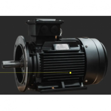 Hoyer IE4电机系列