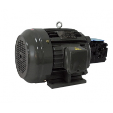 VILLEFORT 电机泵组PV2R1系列