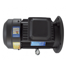 VILLEFORT 立式电机系列