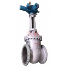 TOKY 电动调节闸阀系列