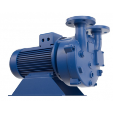SR PUMPS 单*液环真空泵VSM系列