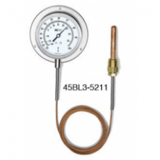 WEISS 蒸汽驱动式指针温度计系列