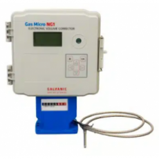 GALVANIC 电子音量校正器GAS MICRO NG系