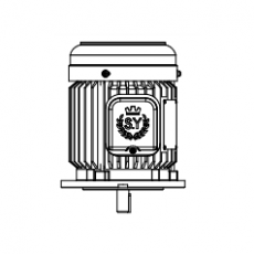 CHYUN TSEH 出轴铣壳立式马达BSL 1HP系列