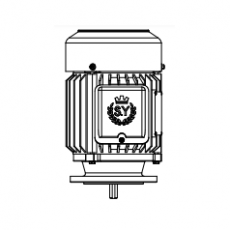 CHYUN TSEH 出轴铣壳立式马达BSL 1/2HP系列