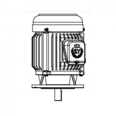 CHYUN TSEH 出轴铣壳立式马达BSL 2HP系列
