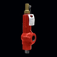 Taylor Valve 压力泄压阀19BV系列