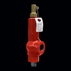 Taylor Valve 压力泄压阀19BV系列