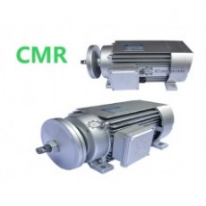 Carpali 轻型锯片电机CMR系列